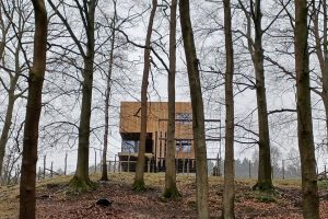 Une nuit au cœur de la forêt