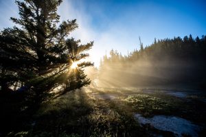 « Pisser sur un feu de forêt ne fait pas de vous un sapeur-pompier »