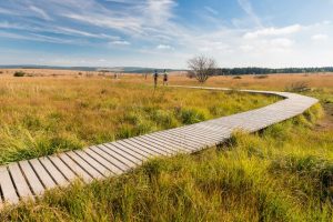 Drapeau rouge dans les sentiers verts