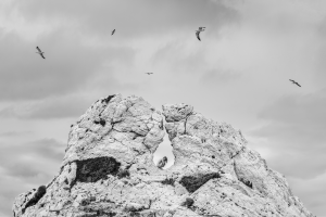 « À chercher le murmure, la beauté, dans la simplicité »