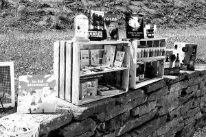 « Je fonctionne au coup de coeur »