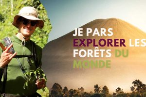 « Montrer la beauté de la forêt et ce qu’elle apporte à l’homme »