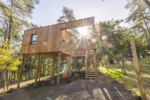 Une nuit au coeur de la forêt à Forestia