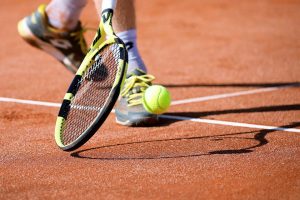 David Goffin dans le tableau final à Roland