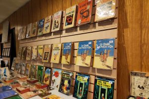 « Dire que nous foulons ce sol de la lune où jamais la main de l’homme n’a mis le pied »*