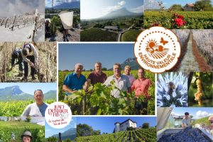 L’ivresse des cimes avec Millécimes