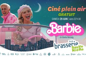 « Du culte, du fun, du bling bling, du kawaï, du trop bizarre, du trop décalé… »