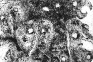 « J’aime travailler l’image en noir et blanc »