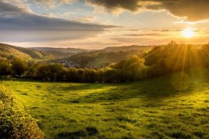 « Chaque idée peut être le début d’un beau projet pour un quartier et pour notre planète »