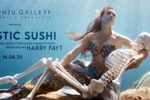 Plastic Sushi : plongée dans l’univers d’Harry Fayt à la Buronzu Gallery