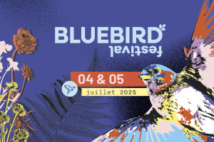 Le BlueBird Festival : le plus grand des petits festivals