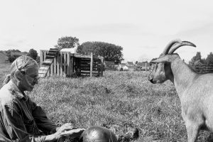 « Nous avons rêvé ce lieu comme une réponse concrète à la crise écologique et sociale »