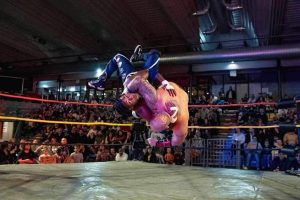 « La vertu du catch, c’est d’être un spectacle excessif »