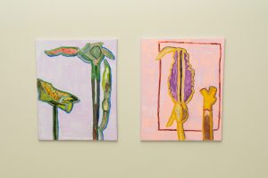 Libre Botanique : un jardin secret aux Drapiers