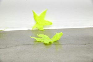 Ronny Delrue et Jungwoon Kim : dialogues contemporains à l’IKOB