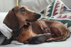 « Le premier bilan est très positif. Nous avons déjà plein d’idées pour la deuxième édition »