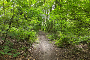 « Il est possible de concilier protection de la nature et accueil du public lorsqu’une vision cohérente est portée sur le long terme »