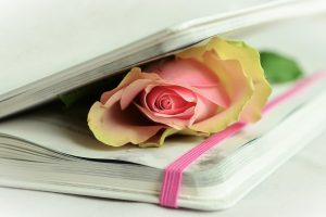 Poètes² fait dialoguer les voix de la poésie aux Fonds patrimoniaux